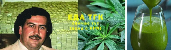 шишки Инта
