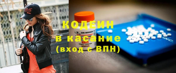 шишки Инта