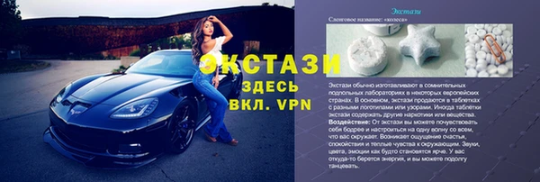 шишки Инта
