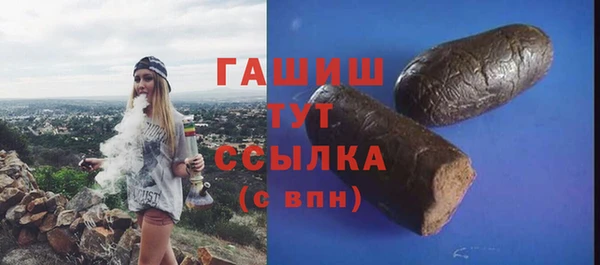 шишки Инта
