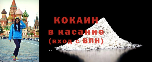 шишки Инта