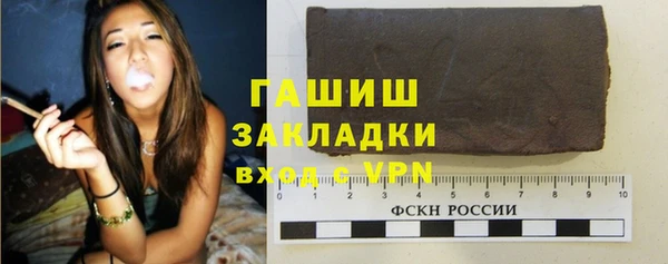 шишки Инта