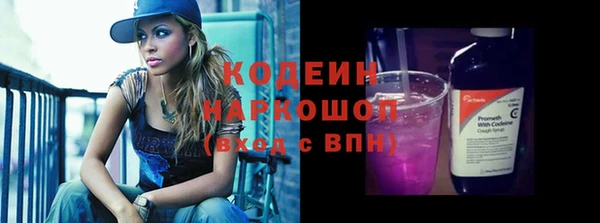 шишки Инта