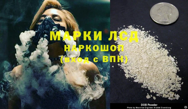 шишки Инта