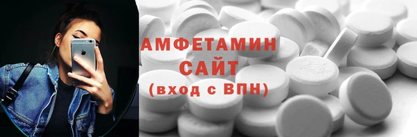 шишки Инта