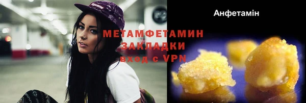 шишки Инта