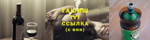 шишки Инта