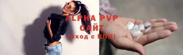 шишки Инта
