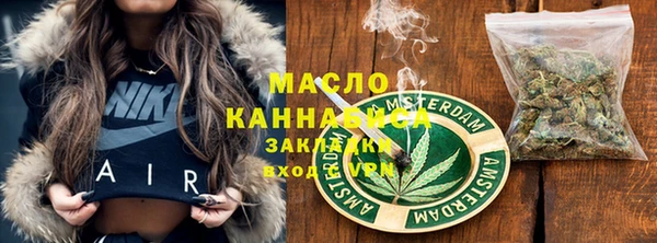 шишки Инта