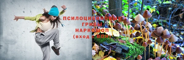 мескалин Инсар