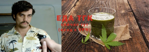 шишки Инта