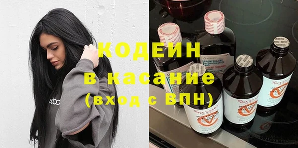 шишки Инта