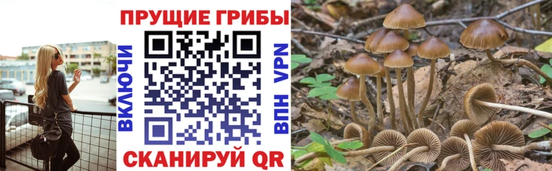 Купить  Салават  Псилоцибиновые грибы GOLDEN TEACHER 